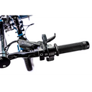 Mountain Trike ePush